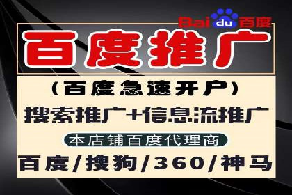 SEM外包服务应用案例分析